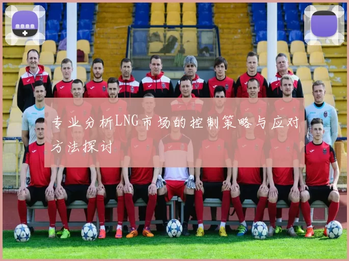 专业分析LNG市场的控制策略与应对方法探讨