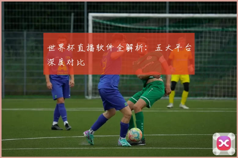 世界杯直播软件全解析：五大平台深度对比