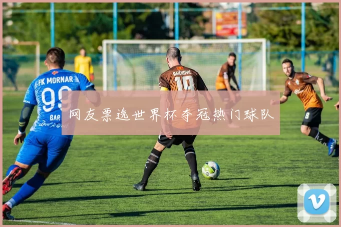 网友票选世界杯夺冠热门球队