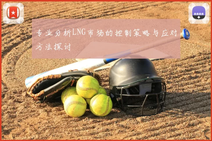 专业分析LNG市场的控制策略与应对方法探讨