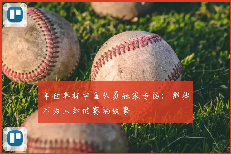 年世界杯中国队员独家专访:那些不为人知的赛场故事