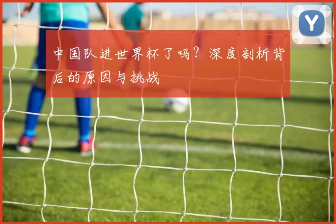 中国队进世界杯了吗?深度剖析背后的原因与挑战