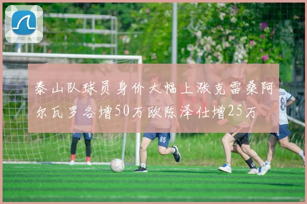 泰山队球员身价大幅上涨克雷桑阿尔瓦罗各增50万欧陈泽仕增25万