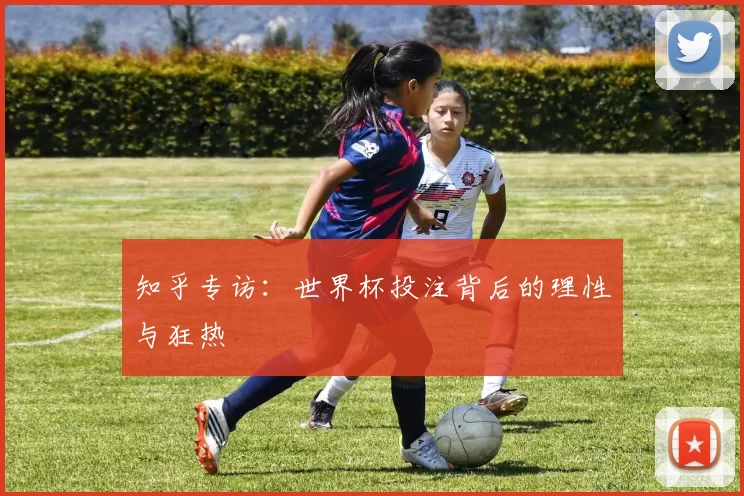 知乎专访:世界杯投注背后的理性与狂热