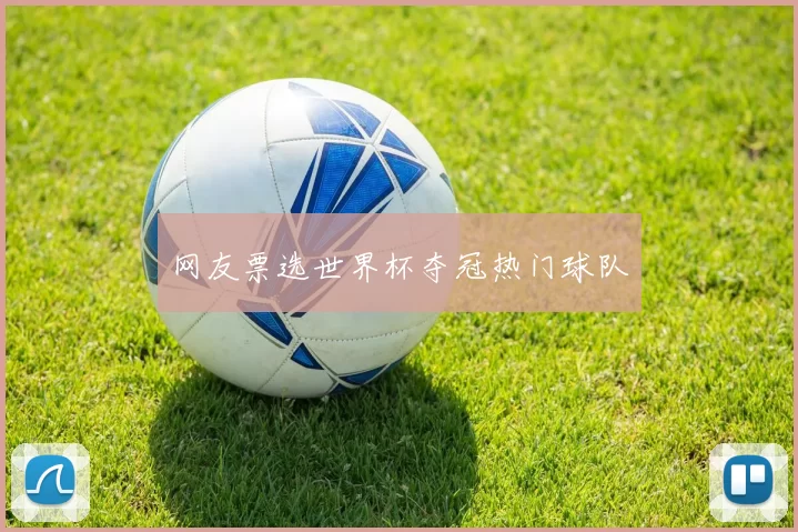 网友票选世界杯夺冠热门球队
