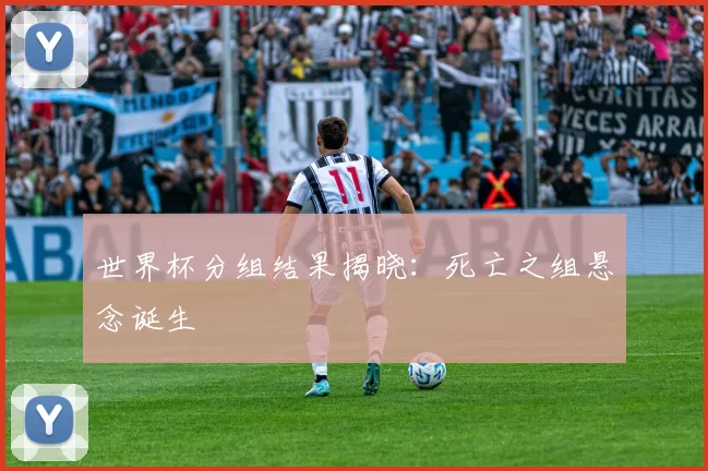 世界杯分组结果揭晓:死亡之组悬念诞生
