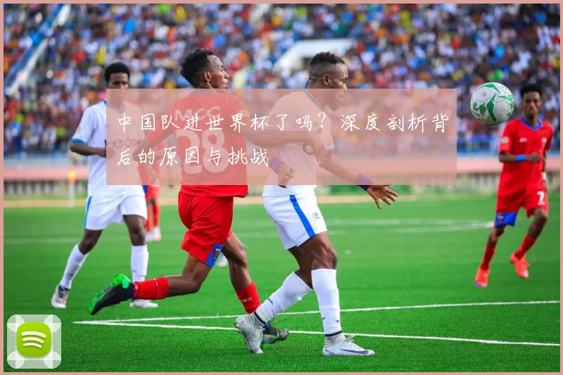 中国队进世界杯了吗?深度剖析背后的原因与挑战
