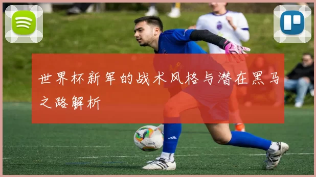 世界杯新军的战术风格与潜在黑马之路解析