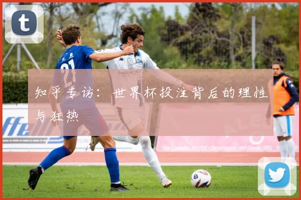 知乎专访:世界杯投注背后的理性与狂热