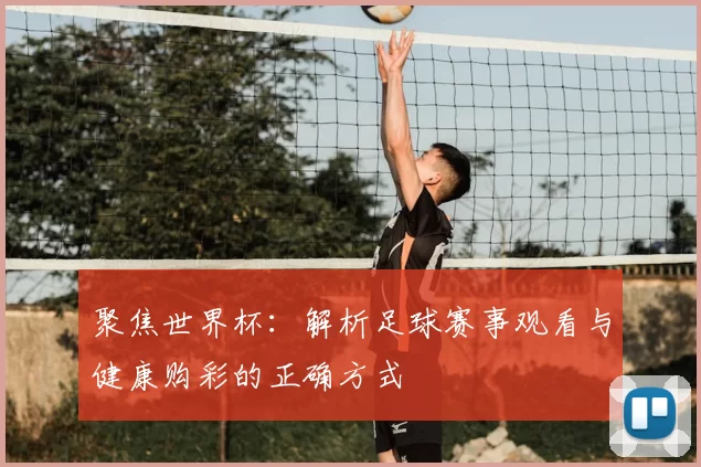 聚焦世界杯:解析足球赛事观看与健康购彩的正确方式