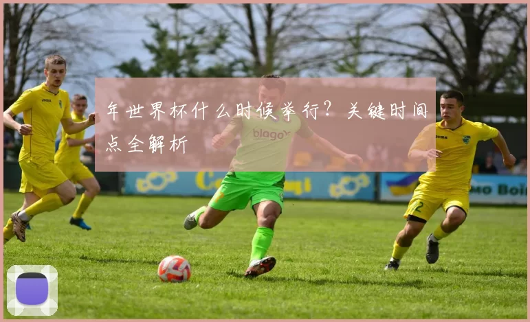 年世界杯什么时候举行？关键时间点全解析